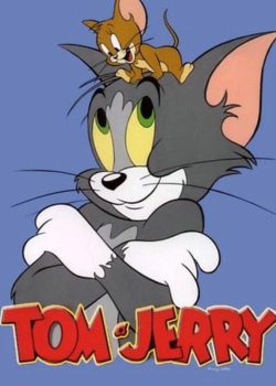 汤姆猫动画片大全图片